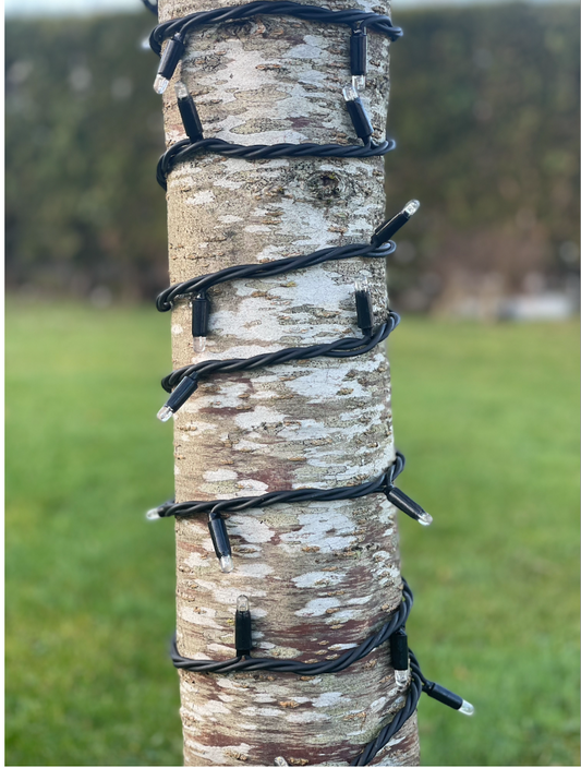 How to Decorate a Tree with Outdoor String Lights - Santa's Light Shop